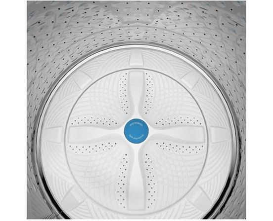 Laveuse à chargement vertical avec FlexDispense™ GE Profile - PTW600BSRWS