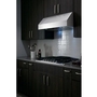 Hotte de cuisinière sous cabinet de 30 po Frigidaire Professional - FHWC3050RS