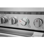 Cuisinière amovible biénergie de 36 po avec technologie convection Frigidaire Professional - PCFD3670AF