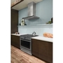 Cuisinière amovible à biénergie de 36 po Electrolux - ECFD3668AS