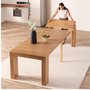 Table de salle a manger extensible de Transformer Table