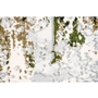 Tapis décoratifs Rectangle de Renwil