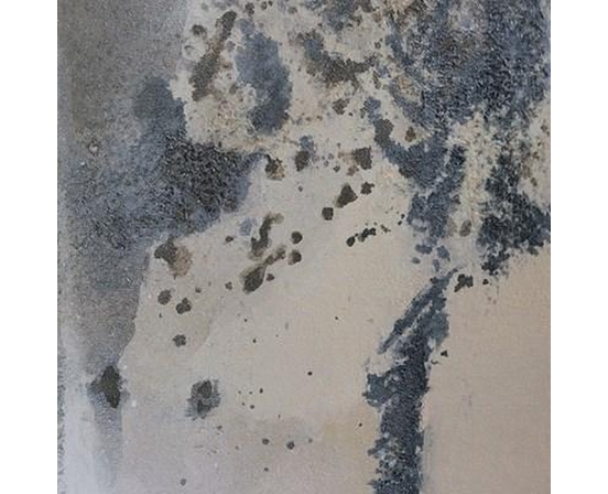 Décor pour la maison Art Mural de Renwil