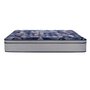 Matelas Teddi moelleux très grand lit 78 po Sealy