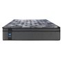 Matelas Allissandra moelleux grand lit 60 po Sealy