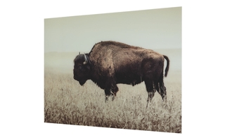 Art mural Brutus de Ashley - A8000289