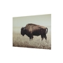 Art mural Brutus de Ashley - A8000289