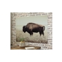 Art mural Brutus de Ashley - A8000289