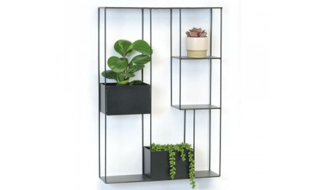 Cadre murale pour plantes