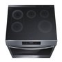 Frigidaire Gallery - GCFI306CBD