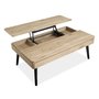 Table de centre de Magnussen