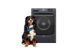 Laveuse à chargement frontal de 5,8 pi³. avec option Pet Pro Maytag - MFW7020RF