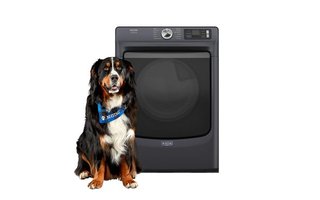 Sécheuse électrique de 7,4 pi³. avec option Pet Pro Maytag - YMED7020RF