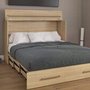 Lit escamotable cabinet de Sua-V
