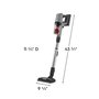 Aspirateur-balai Electrolux Ultimate800™ pour poils d’animaux