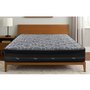 Matelas Ambre mi-ferme très grand lit 78 po de Accent Pedic