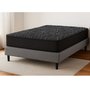 Matelas Zeno ferme Queen 60 po de Accent Pedic