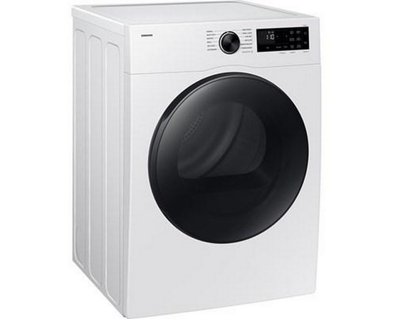 Sécheuse électrique compacte 5000 Series de 4,0 pi³ Samsung - DV25FG50BVBE/AC