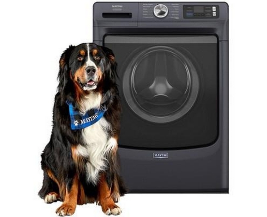 Laveuse à chargement frontal de 5,8 pi³. avec option Pet Pro Maytag - MFW7020RF