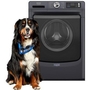 Laveuse à chargement frontal de 5,8 pi³. avec option Pet Pro Maytag - MFW7020RF