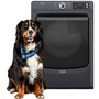 Sécheuse électrique de 7,4 pi³. avec option Pet Pro Maytag - YMED7020RF